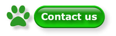 Contact us to make an appointment, mobile dog services staffordshire