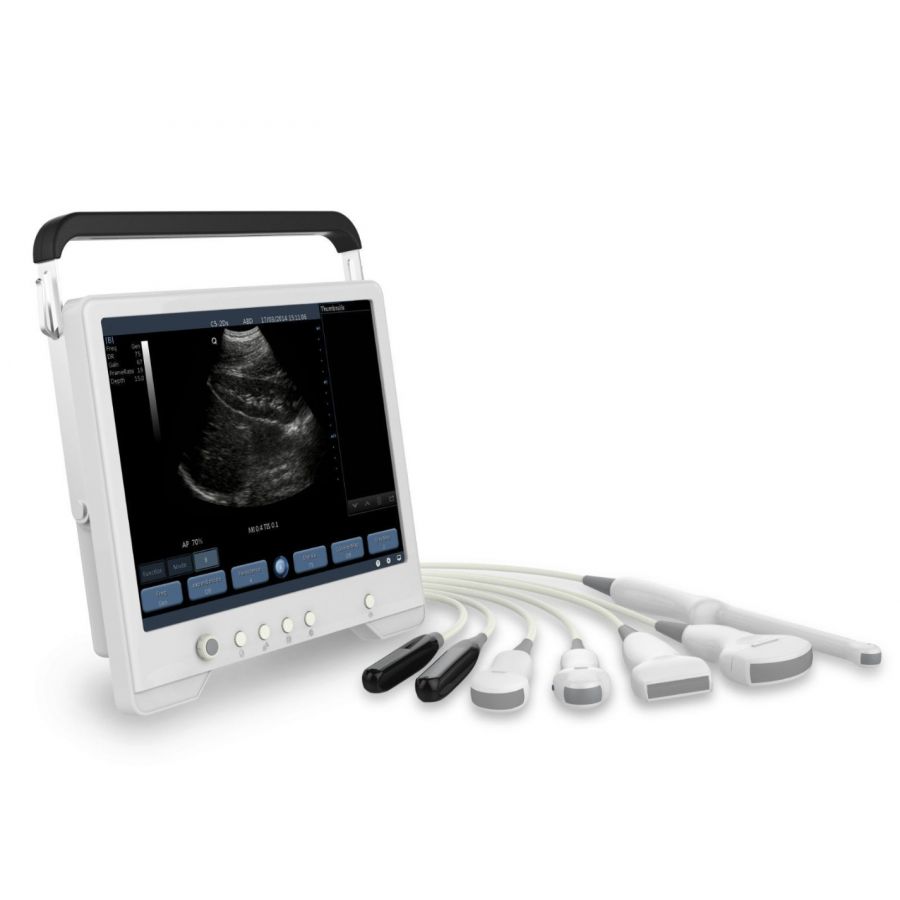 Cheap pregnancy dog scanning cannock, mobile ultrasound scanning stafford, low price dog scanning birmingham